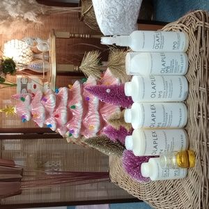 Olaplex Lot